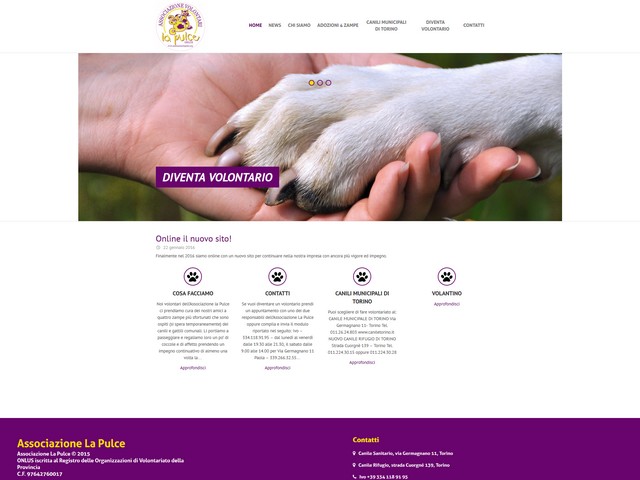Associzione la Pulce Onlus, sito online