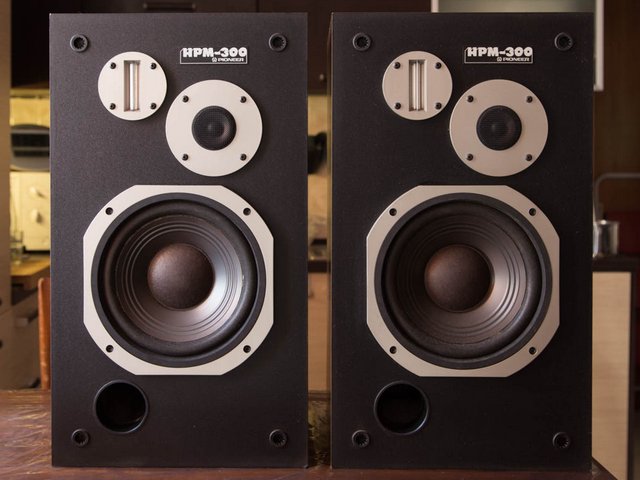 Pioneer HPM 300
