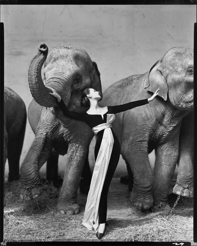 Richard Avedon