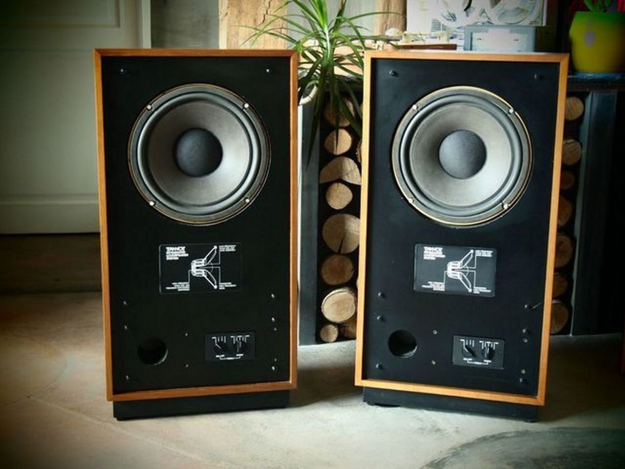 Federico Porta Immagine e web Tannoy HPD 315 12 s Cheviot